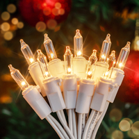 Mini luzes de Natal LED de 50 contagens