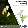 Luzes solares de flores de 7 cores Calla Lily