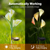 Luzes solares de flores de 7 cores Calla Lily