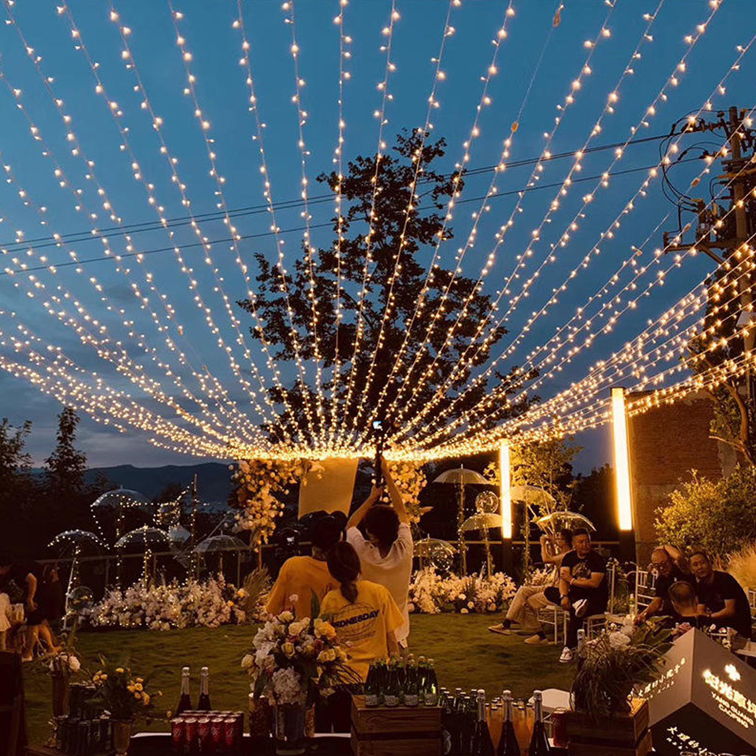 Imagem de cena de luzes de corda de cortina de fadas de eventos de casamento